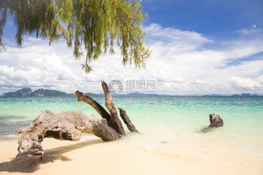 热带白沙滩海洋全景植物日志公园珊瑚蓝色天堂国家旅行图片