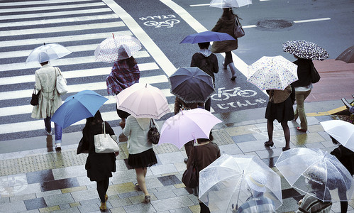 雨季街道红色人群蓝色行人下雨穿越粉色沥青城市路面背景图片