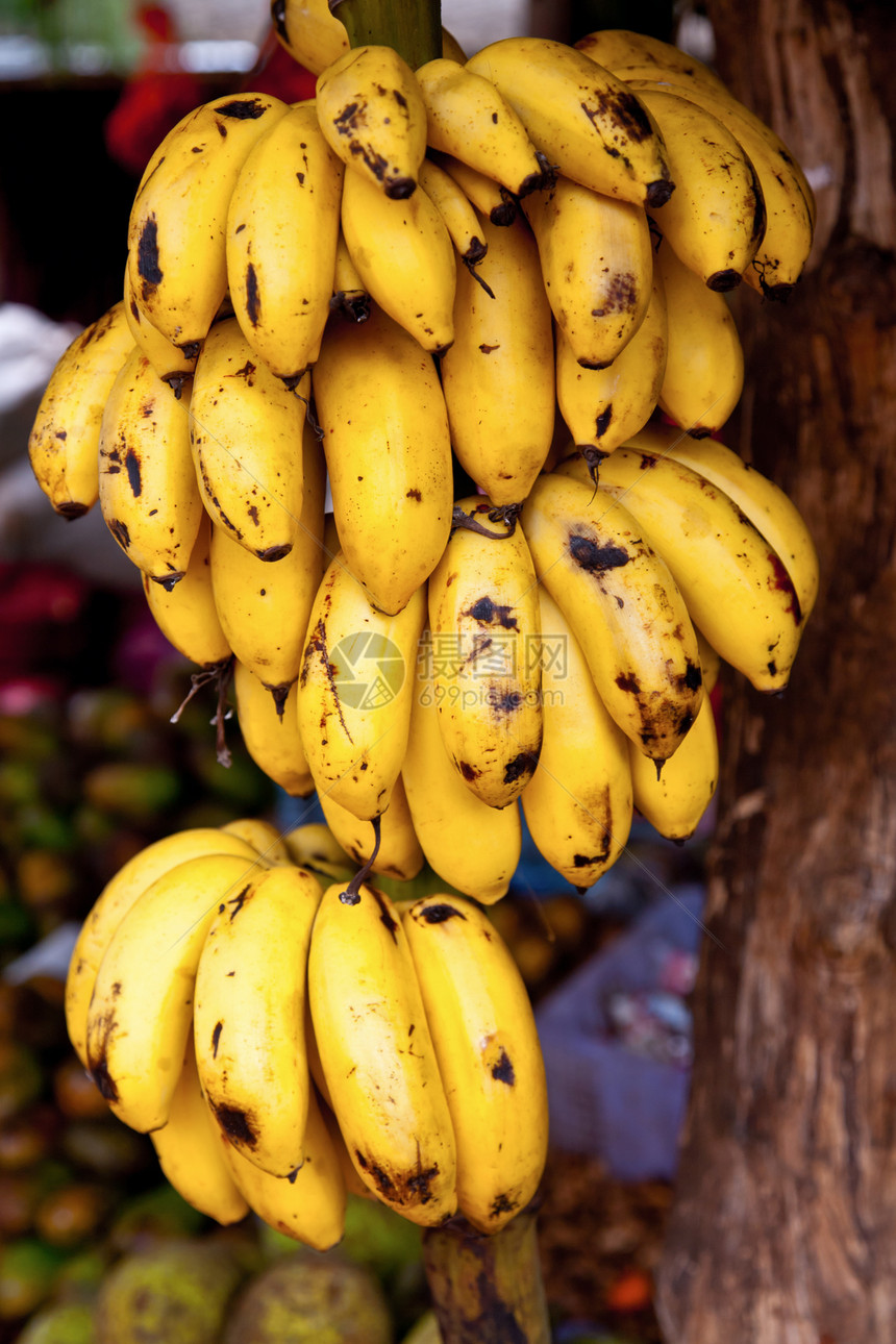 香蕉帮热带零售店铺农业摊位市场收成杂货店农场黄色图片