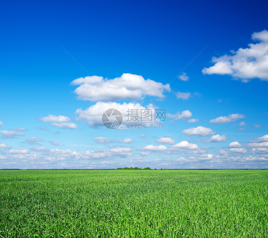 绿绿地牧场场地草地国家草原生长场景太阳土地远景图片