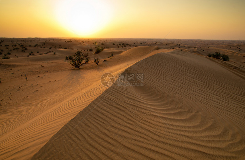 荒漠日落金子太阳沙漠海浪沙丘海滩蓝色干旱土地图片