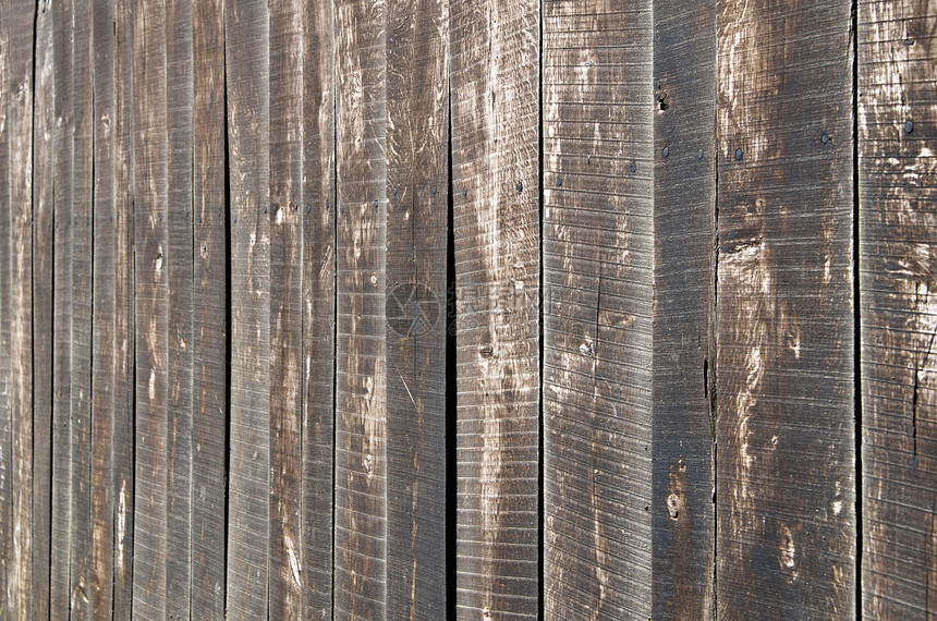 树木背景背景硬木木工控制板样本桌子材料木地板风格宏观木材图片