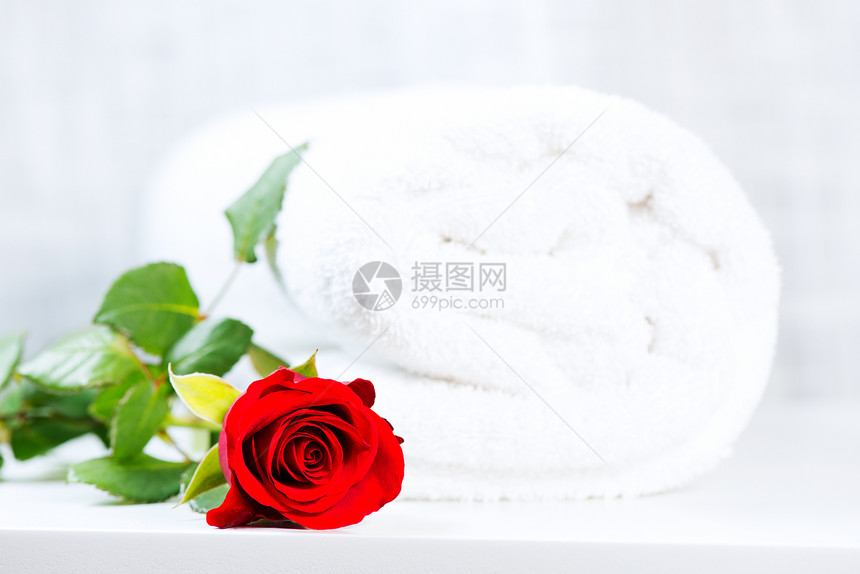 滚动白毛巾和红玫瑰高键图片