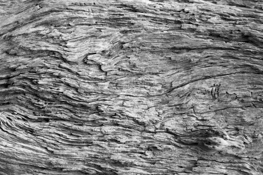 旧木质年度同心木材艺术工作历史植物日志材料木板图片