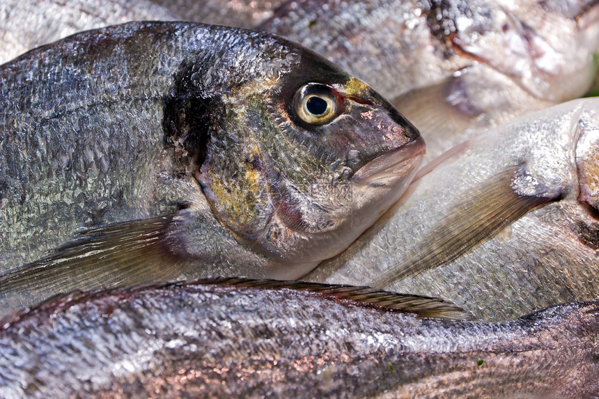 多拉多鱼钓鱼养殖午餐市场海洋美食营养食物海鲜摄影图片