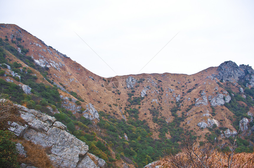 高峰的山边布雷木材山顶山麓山腰地球山坡场景木头风景图片