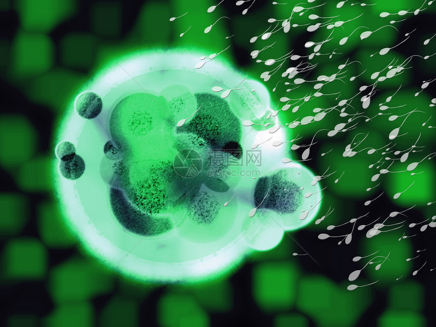 放射性绿巨人有机细胞蛋 接近Sperm图片