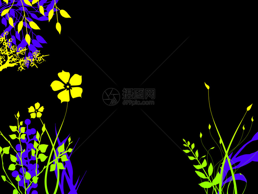 彩色明亮的夜间花朵植物图片
