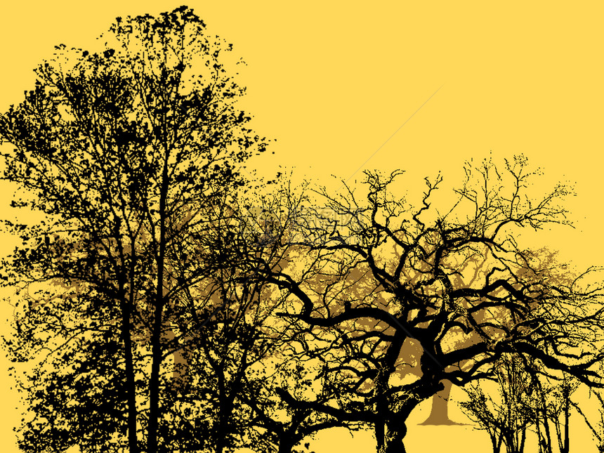 秋季背景中黑色树木的轮廓图片