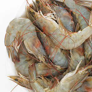 虾食物海鲜白色背景图片