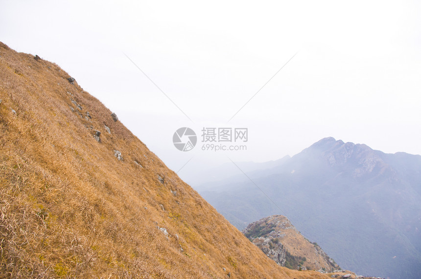 有黄草的山顶登山者垂直度森林木头高地山麓天空远景悬崖风景图片