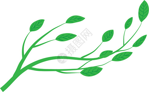 树树枝绘画白色绿色插图环境背景图片