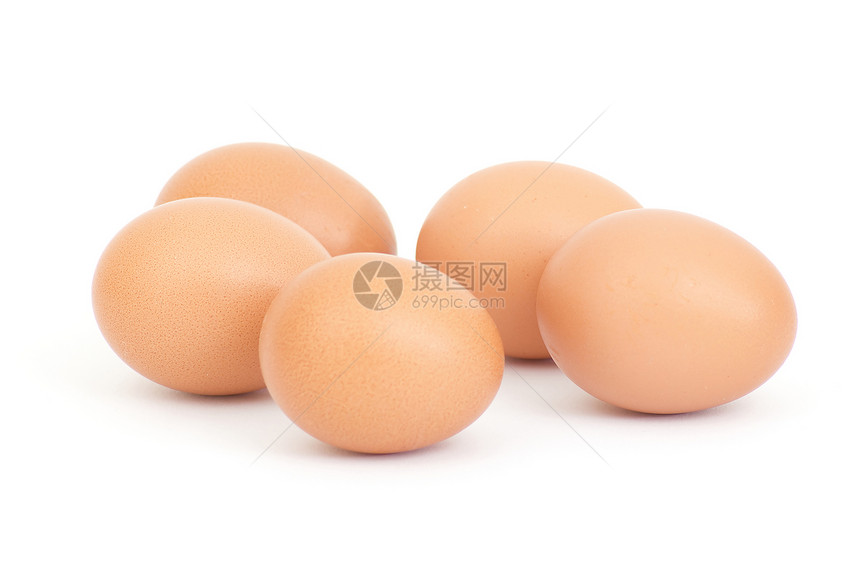 蛋白色圆圈母鸡胚胎生活纸盒产品早餐家禽椭圆图片