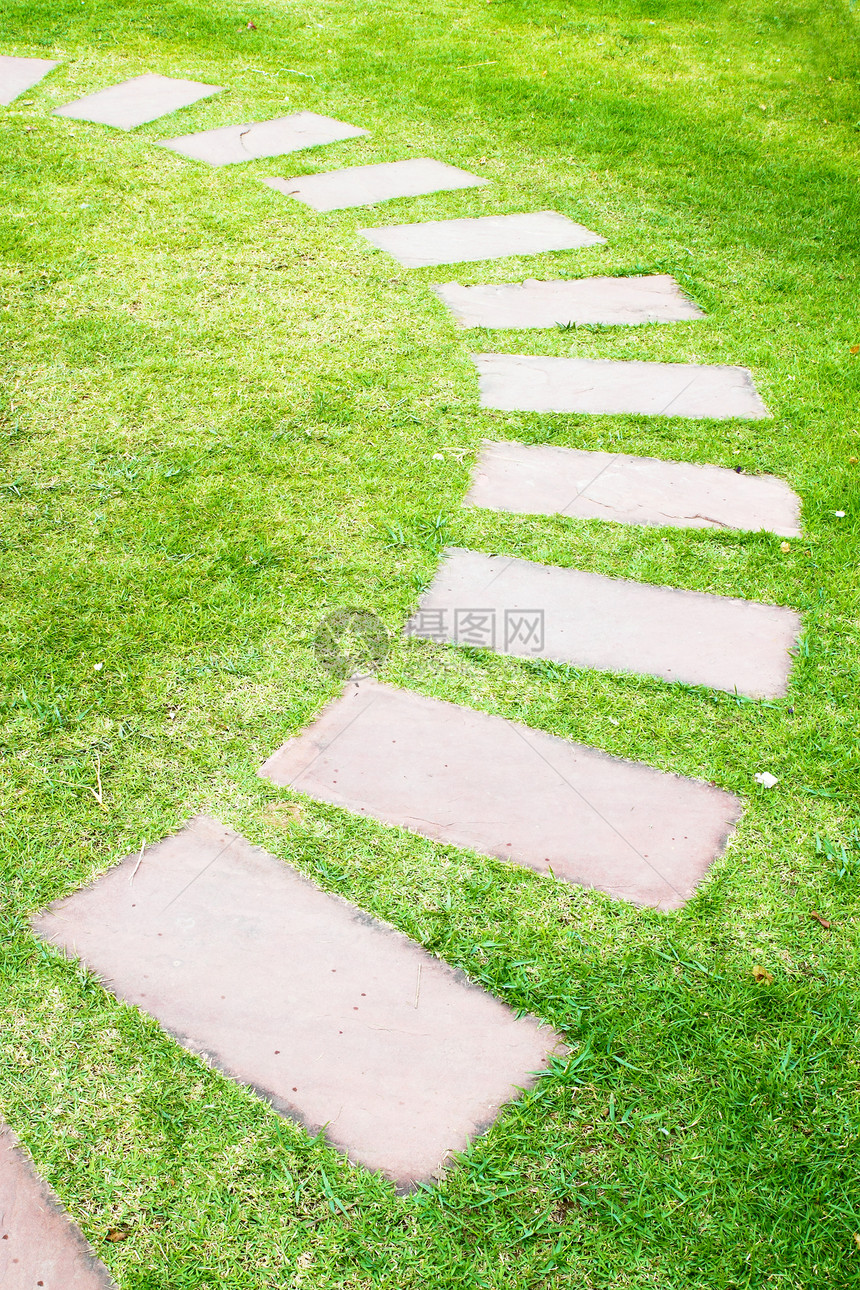 曲线花园石头图片