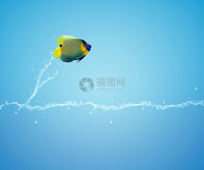 天使鱼跳跃水族馆海浪挑战运动傻子宠物金子幸福商业玩意图片