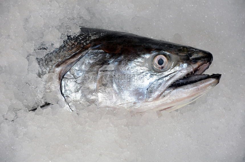 鲑鱼头市场食物屠夫烹饪鱼片美食海鲜图片