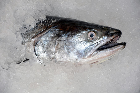 鲑鱼头市场食物屠夫烹饪鱼片美食海鲜背景图片