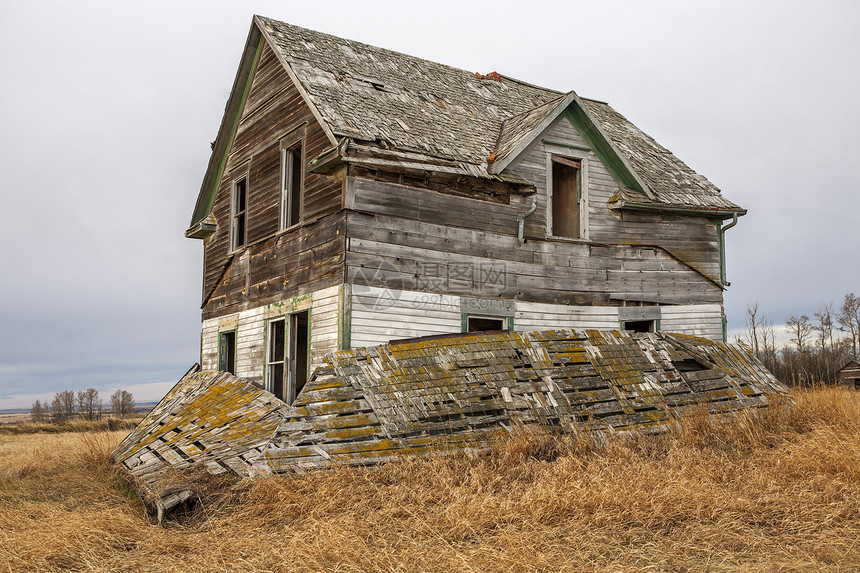 草原上的废弃农舍房子草原黄色木头废墟季节图片