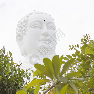 佛祖 越南Nha Trang的地标吸引力金属旅行佛教徒宗教旅游雕塑雕像棕褐色游客背景图片