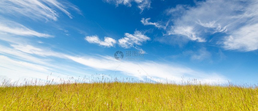 青云天空下的草地公园蓝色天空地面空地环境农场丘陵植物群场地图片