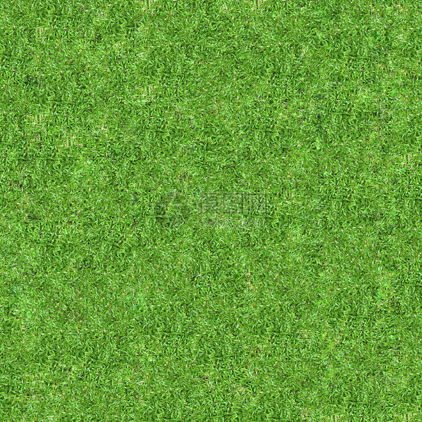 草根纹理环境植物场地足球场草皮生长活力绿色草地院子图片