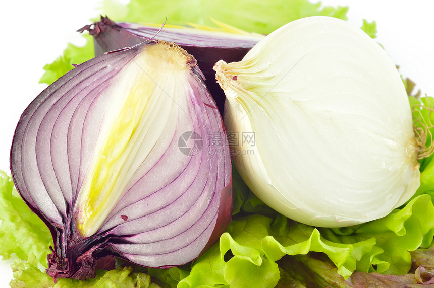 红洋葱和白洋葱茶点食物白色蔬菜图片