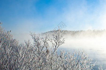 河流附近的米丝冬背景图片