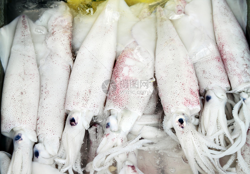篮子新鲜海鲜食品中展示的新鱿鱼触手市场食物海洋喷射钓鱼饮食厨房章鱼团体图片