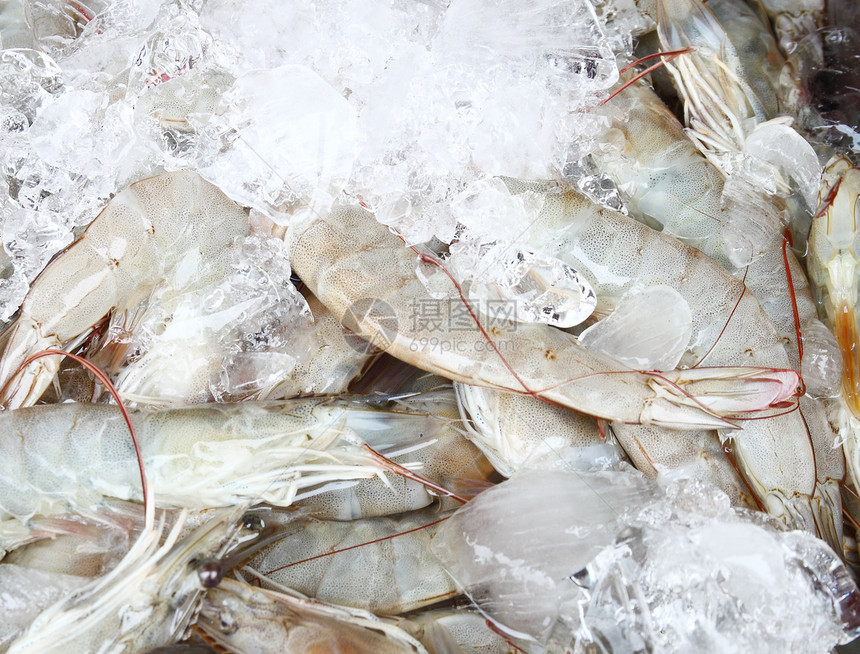 冰中的新鲜虾贝类甲壳摊位动物太阳餐厅海鲜尾巴美食旅行图片