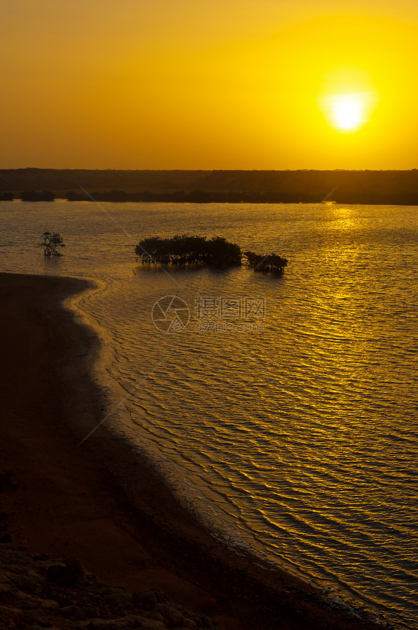 日出和红树林黄色假期海岸地平线旅行海滩风景天空天堂场景图片