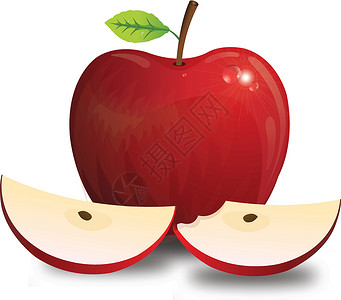 苹果 插图小吃食物叶子绘画甜点营养种子节食植物艺术品背景图片