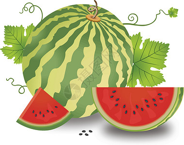 西瓜藤蔓分割西瓜 插图绘画食物节食营养艺术品饮食叶子水果小吃甜点插画