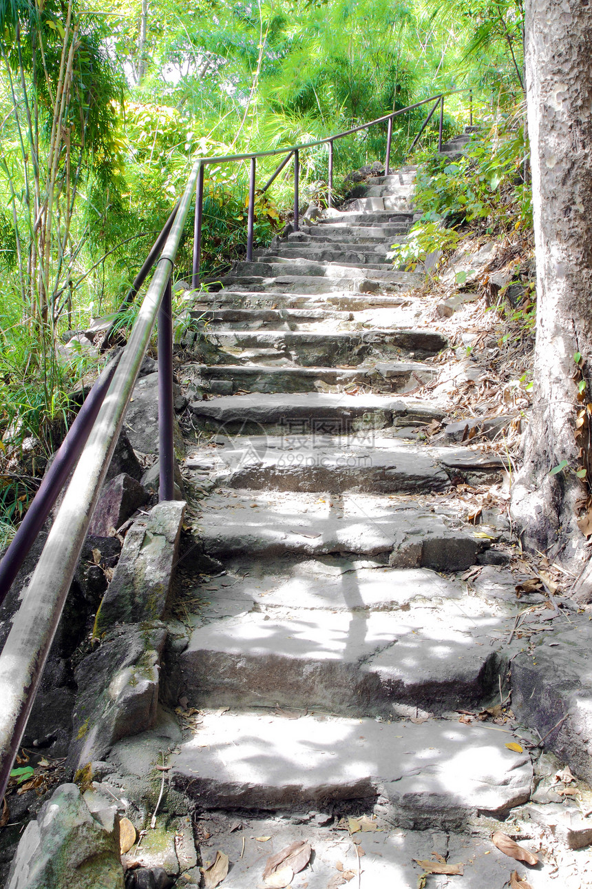 泰国Pha Tam公园石楼梯图片