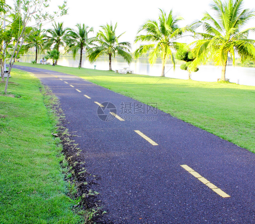 单车路线天气树干小路公园木头季节车道晴天叶子街道图片