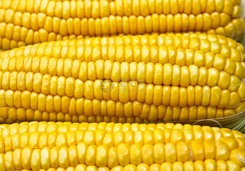 明亮颜色的甜玉米生物收成宏观饮食谷物蔬菜健康小吃农场食物图片