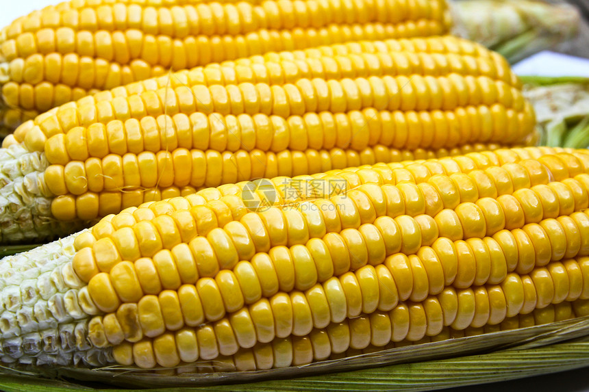 明亮颜色的甜玉米饮食农场水果健康生物宏观小吃食物谷物植物图片