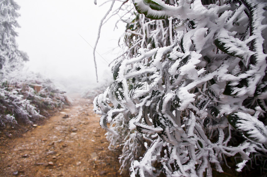 广东南中国大雪过后 在湖上下雪远景风暴季节环境吸管美丽仙境冻结花园村庄图片