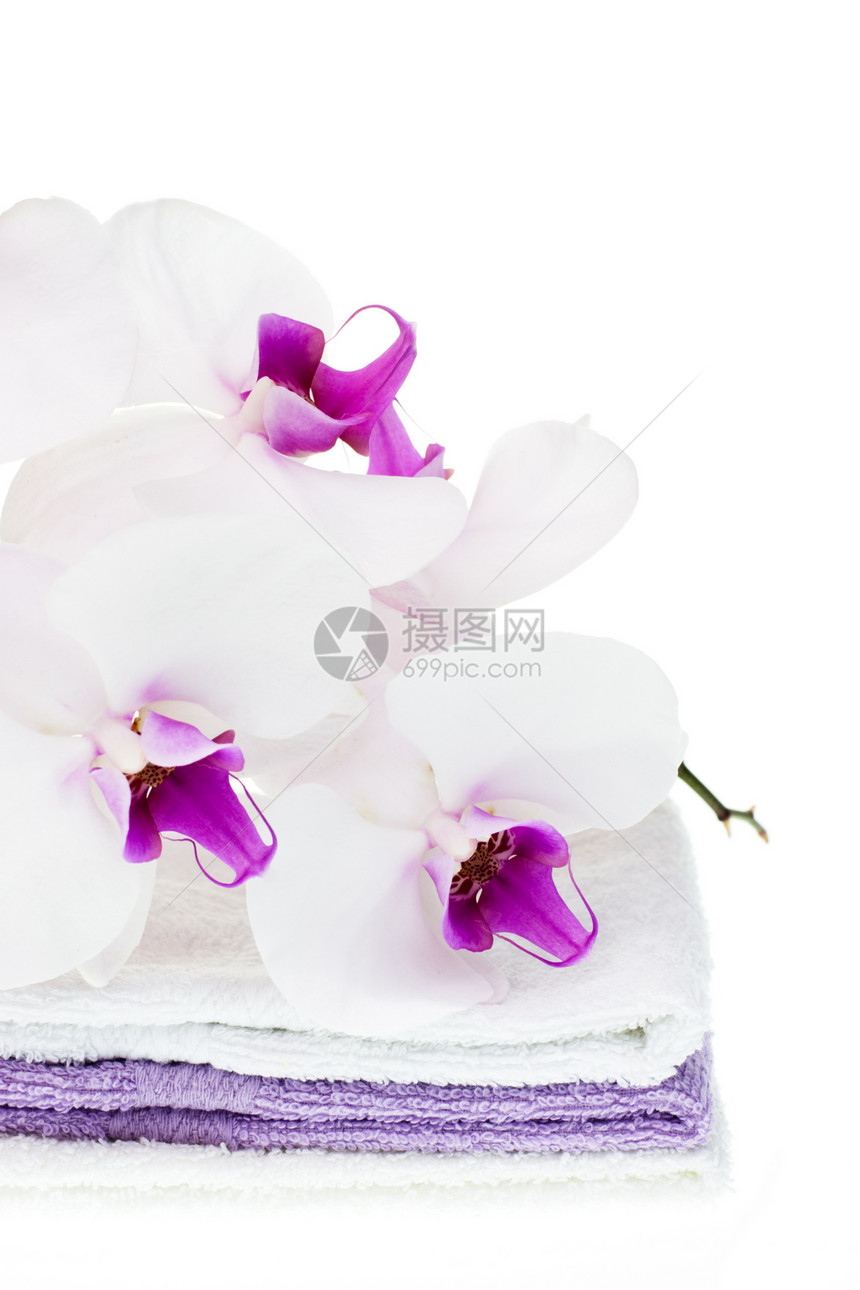 白兰花在毛巾上花瓣化妆品兰花紫色浴室卫生团体幸福身体花束图片