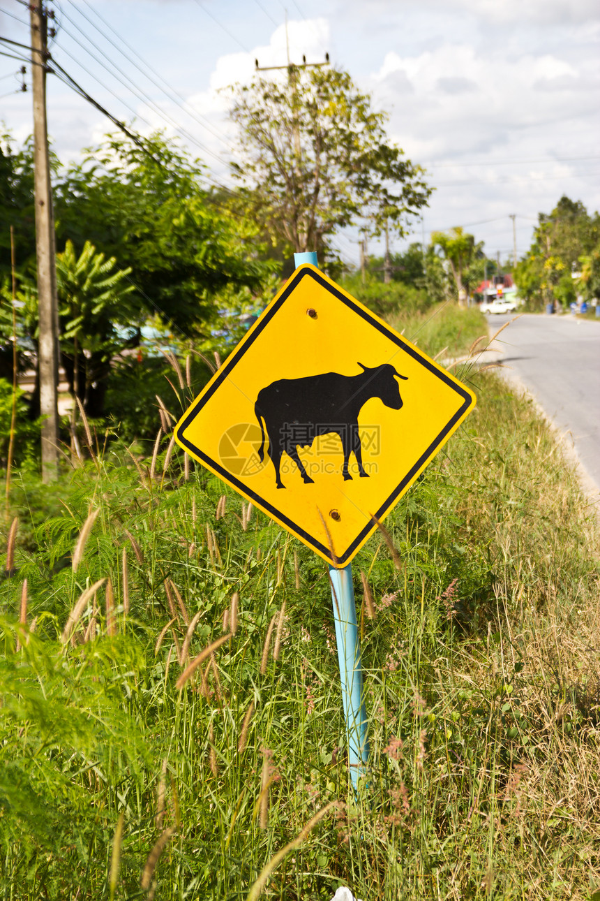 黄黄色路牌 小心看一头奶牛风险插图安全警告危险天空预防交通黄色警报图片