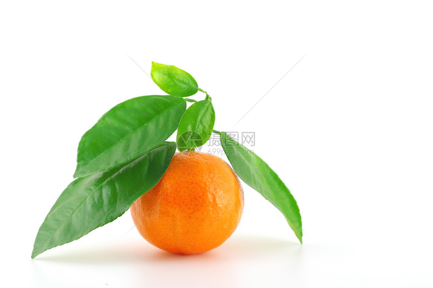 用绿色的叶子开出新鲜的国语水果甜点营养饮食小吃美食食物热带橙子皮肤图片