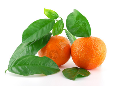 清风新鲜的普通话甜点饮食食物营养小吃橙子热带水果叶子柑桔背景图片