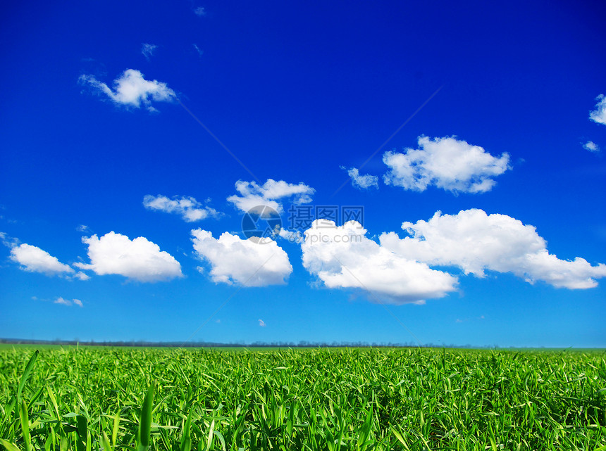 绿绿地天气场景阳光土地地平线草地场地草原国家蓝色图片