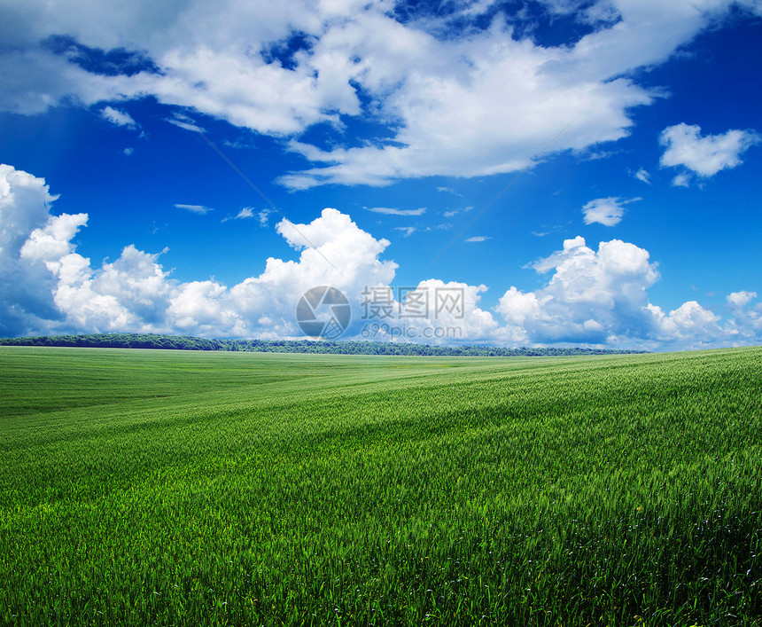 字段天空牧场地平线植物远景乡村农场阳光场地全景图片