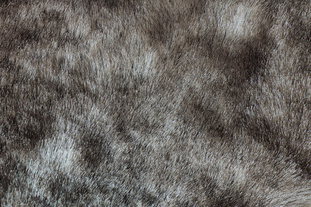 texture抽象灰色毛皮( Texture)背景