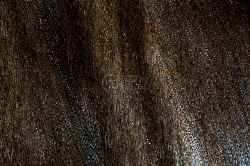 抽象棕色毛皮背景( 垂直纹理)图片