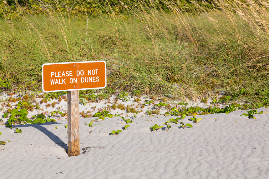 远离佛罗里达的沙丘标志警告晴天海滩生态图片