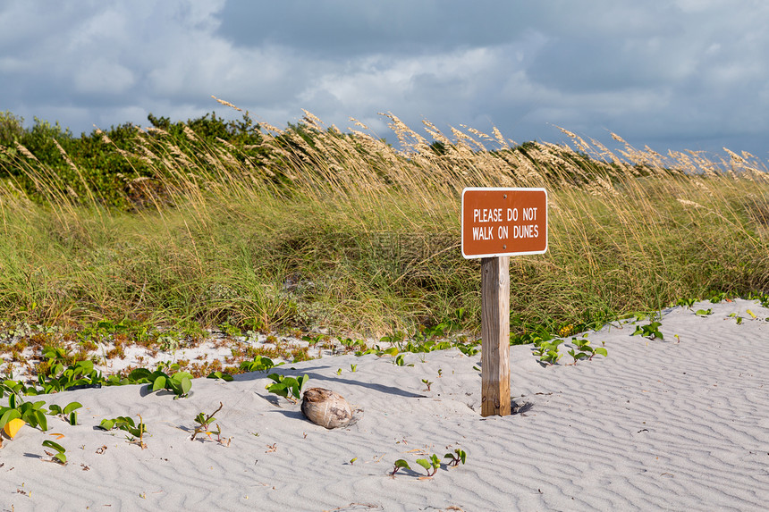 远离佛罗里达的沙丘标志生态晴天海滩警告图片