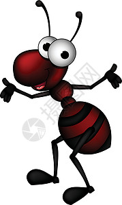 红色 ant 漫画火蚁微笑幸福群居动物雄虫物种害虫昆虫卡通插画