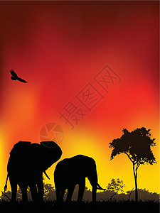 肯尼亚动物大象月光旅行插图场地日落动物天空旅游太阳夹子假期绘画插画