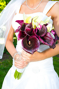 新娘控股包百合婚礼插花装饰婚纱结婚日鲜花婚纱照花束紫色背景